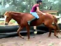 Funny Videos, Epic Fails - Girls Fail Compilation | October 2014