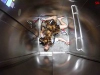 HUMOR: Cachorro com roupa de aranha - PEGADINHA!!!!