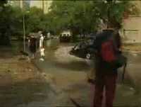 mulheres ao volante perigo constante