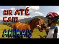 (PRA CHORA DE RIR) ATAQUE DE ANIMAIS OS MAIS ENGRAÇADOS 2013 Videos Cassetadas!