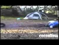 Videos engraçados   Melhores videos engraçados 2014 Animais Gatos Bebes engraçados 2014 para rir