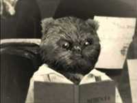 Bruno Aleixo na escola- O Mundial