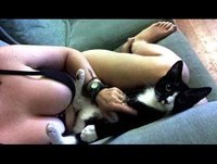 Funny Prank Videos - Funny Fails, Funny Pranks, Funny Videos 2014