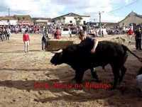 Melhores Momentos 2009 - Apanhados,Sustos e Colhidas a Aficionados- 1ªParte