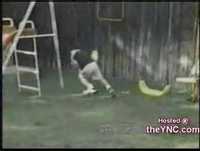 Pancadas de partir a rir !!