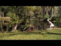 Jackass 3.5 cenas deletadas