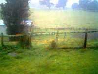 mi credo jessi ojeda cover.3gp