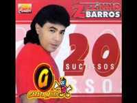 Zezinho Barros - CAIA POR CIMA DE MIM