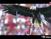 109 anos de Benfica - Só nós sentimos assim!