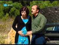 "Zé Bastos" - Estado de GRAÇA