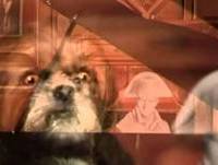 Bruno Aleixo - CS:GO Time For Ace