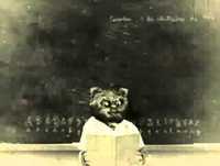 Bruno Aleixo Na Escola 01- A Escola