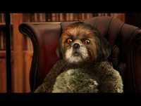 7 Artes - Literatura - Bruno Aleixo