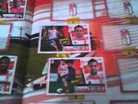 Enseñando el album de cromos 2014