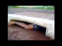 os mais burros do mundo!!!