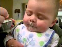 As Melhores Lutas de Bebês contra o sono da net