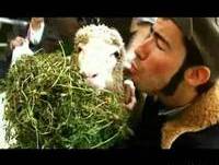 Gato Fedorento - Rap Dos Matarruanos