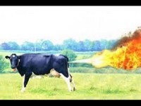 No ponto de Morre de Rir