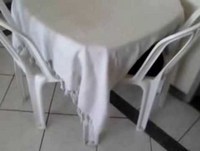 Surpresa ao sentar na cadeira  Animais Engraçados