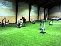 Caria & Caia - Selvtræning i Herringsløse - 05.01.14