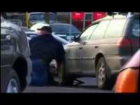 Jackass The Lost Tapes 2009   FULL