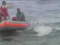 Apanhados TVI Porto @ Parte 1