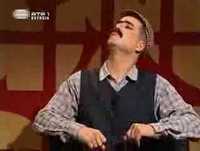 Gato fedorento - vindimas