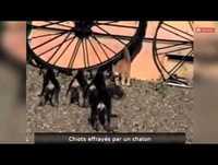 Le Zap de SpiOn n°217