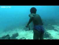 Aquaman Existe!! ★ video humor - insolito - increible - divertido - fail