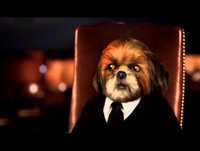 O Programa do Aleixo S02E04 Part 1-3