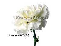 Governo Sombra (audio) -  22_03_2013 _ MRB