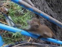 New Fail / Win Compilation July 2013 | Best of Fails / Wins Compilation 2013