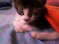 super tierno.. pero poco buen humor..