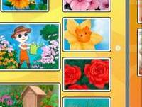 Todos los Cromos Mi AngelaApp Completos