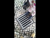 A PASTILHA  | THE BUBBLEGUM