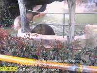 Animais de Estimação Incríveis e Engraçados