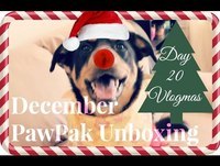 December PawPak Unboxing | Feat. Caia | Vlogmas Day 20!