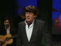 Herman Enciclopedia - Fadinho