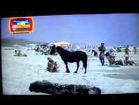 Cavalo Tarado - Muito engraçado Vídeo Cassetadas Faustão 2013