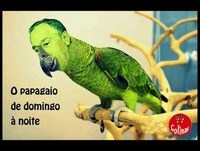 Selecção de Cromos Políticos Janeiro 2015