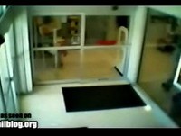 Best Epic Fails - Compilation 2012 [HD]