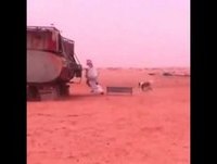 Cachorro doido - Vídeo Engraçado WhatsApp (NOVO) 2015