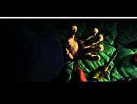 Faux Raccord N°135   Les gaffes des Iron Man