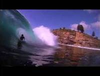 B!RD - Start A Revolution