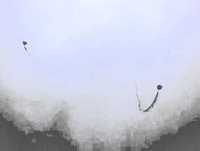 cortando pipa da NIKE no primavera