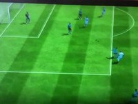 Roberto e os seus frangos