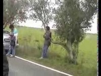 Apanhados do Vilafradense... autocarro avariado!