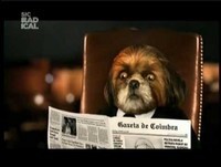 Bruno Aleixo - T2Ep6Completo