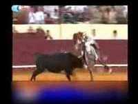 Gato Fedorento: Cavaleiro João Salgueiro