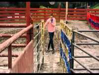 Jackass 3D - Patinando com os Bufalos